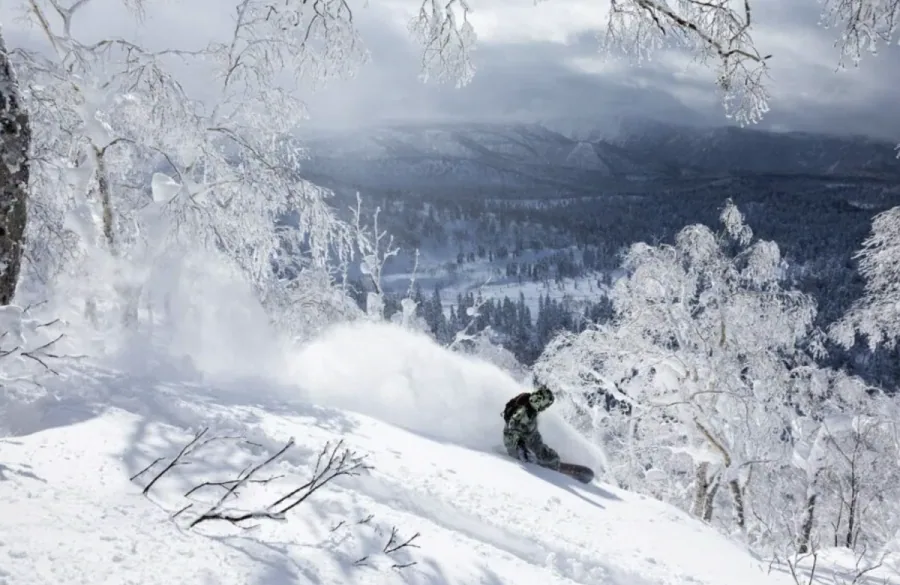 Snowboarding through fresh powder, from the 12 Boards collection